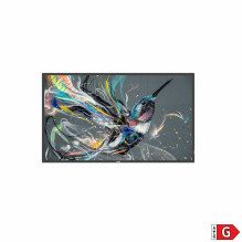 43BDL3511Q 108CM 43IN IPS LED ekranas
