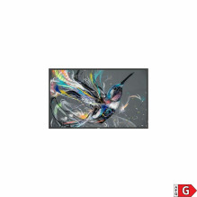 55 Q-LINE 18 / 7, 4K UHD televizorius 55 Q-LINE 18 / 7, 4K UHD televizorius