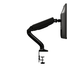 AOC galda stiprinājums AS110D0 13"-32" 2-9KG Vesa black AOC galda stiprinājums AS110D0 13"-32" 2-9KG Vesa black