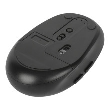 Targus AMB582GL mouse Targus AMB582GL mouse