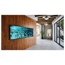 Sony BZ35P