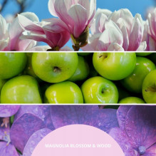 Kvapiojo Rataninio Difuzoriaus Papildymas - Millefiori Magnolia Blossom & Wood 250 Ml Kvapiojo Rataninio Difuzoriaus Papildymas - Millefiori Magnolia Blossom & Wood 250 Ml