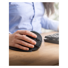 Sandberg 630-13 mouse Sandberg 630-13 mouse