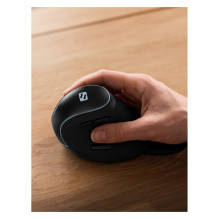 Sandberg 630-13 mouse Sandberg 630-13 mouse