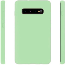 Evelatus Samsung Galaxy S10+ Nano Silicone Case Soft Touch TPU Mint