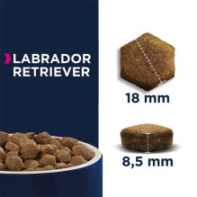 EUKANUBA Breed Specific Labrador Retriever Adult - dry dog food - 12kg EUKANUBA Breed Specific Labrador Retriever Adult - dry dog food - 12kg