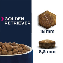 EUKANUBA Breed Specific Golden Retriever Adult - dry dog food - 12kg EUKANUBA Breed Specific Golden Retriever Adult - dry dog food - 12kg