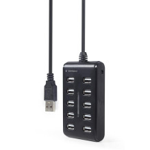 I / O HUB USB2 10PORT /...