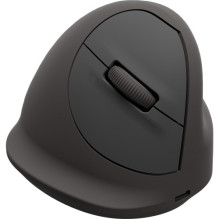 Fellowes 100143580 universāla peles labās puses Bluetooth + USB Type-C optiskā 2400 DPI