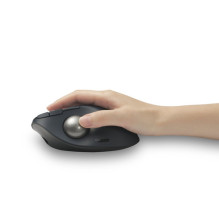 Pelės Kensington ProFit Ergo TB550 (K72196WW) Pelės Kensington ProFit Ergo TB550 (K72196WW)
