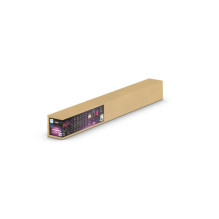 Pakabinamas šviestuvas Philips Philips Hue Ensis white 2x39W 24V