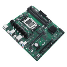 Asus PRO B650M-CT-CSM (grün)