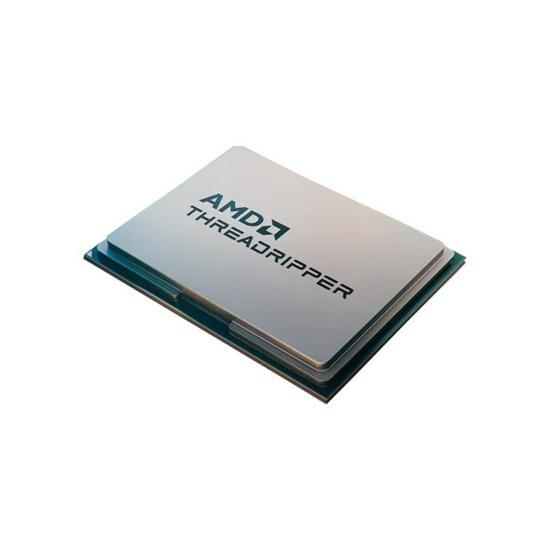 Procesorius AMD Ryzen Threadripper 7960X, 4.2 GHz, 128 MB, OEM (100-000001352)