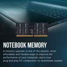 Nešiojamojo kompiuterio atmintis PNY PNY Našumo atminties modulis 8 GB 1 x 8 GB DDR4 260-pin SO-DIMM Nešiojamojo kompiuterio atmintis PNY PNY Našumo atminties modulis 8 GB 1 x 8 GB DDR4 260-pin SO-DIMM