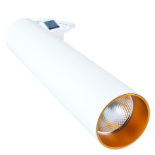 Luminaire for the rail...