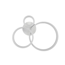 CEILING LIGHT LED TRIO...