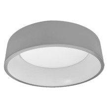 SMART WIFI 450 24W GREY