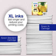 Epson 604 Multipack (C13T10G64010)
