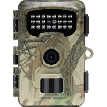 Surveillance camera Redleaf RF06