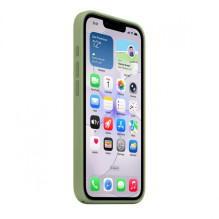 Apple IPHONE 17E Silicone Case