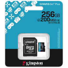 Karta Kingston Canvas Go!...