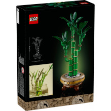 LEGO Botanicals Glücks-Bambus 10344 LEGO Botanicals Glücks-Bambus 10344