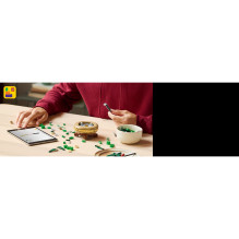 LEGO Botanicals Glücks-Bambus 10344 LEGO Botanicals Glücks-Bambus 10344