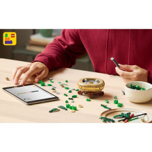 LEGO Botanicals Glücks-Bambus 10344 LEGO Botanicals Glücks-Bambus 10344