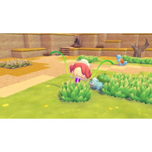 Nintendo Pokemon Pokopia NSW2