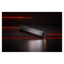 SanDisk Optimus GX PRO 850X