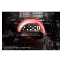 SanDisk Optimus GX PRO 850X