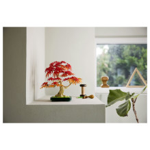 LEGO Botanicals Japanischer Roter Ahorn - Bonsai-Baum 10348 LEGO Botanicals Japanischer Roter Ahorn - Bonsai-Baum 10348