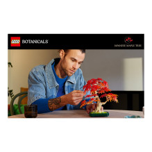 LEGO Botanicals Japanischer Roter Ahorn - Bonsai-Baum 10348 LEGO Botanicals Japanischer Roter Ahorn - Bonsai-Baum 10348