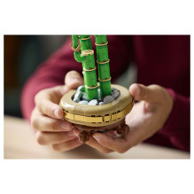 LEGO Botanicals Glücks-Bambus 10344 LEGO Botanicals Glücks-Bambus 10344