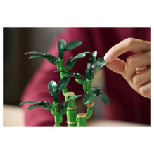 LEGO Botanicals Glücks-Bambus 10344 LEGO Botanicals Glücks-Bambus 10344