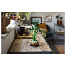 LEGO Botanicals Glücks-Bambus 10344 LEGO Botanicals Glücks-Bambus 10344