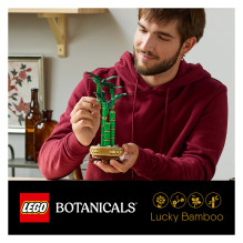 LEGO Botanicals Glücks-Bambus 10344 LEGO Botanicals Glücks-Bambus 10344