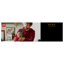 LEGO Botanicals Glücks-Bambus 10344 LEGO Botanicals Glücks-Bambus 10344