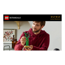 LEGO Botanicals Glücks-Bambus 10344 LEGO Botanicals Glücks-Bambus 10344