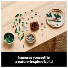 LEGO Botanicals Glücks-Bambus 10344 LEGO Botanicals Glücks-Bambus 10344