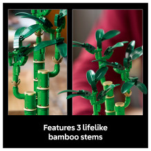 LEGO Botanicals Glücks-Bambus 10344 LEGO Botanicals Glücks-Bambus 10344