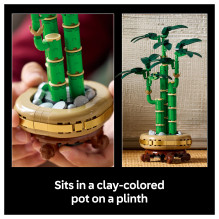 LEGO Botanicals Glücks-Bambus 10344 LEGO Botanicals Glücks-Bambus 10344