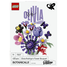 11507 Botanicals Olivia Rodrigos Blumenstrau 11507 Botanicals Olivia Rodrigos Blumenstrau