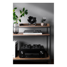 Noctua NV-FS1 (black)