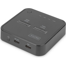 Digitus Dviguba M.2 NVM SSD prijungimo stotelė (juoda, USB-C, M2 SSD)