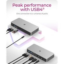 ICY BOX USB4 10w1, 2x HDMI, 1x USB-C PD, 1x _RJ45