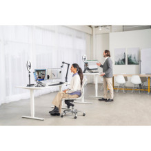 Kensington Schwenkarm mit Tischhalterung A1020, juoda