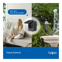 TP-Link Tapo P410M smart plug