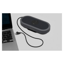 iiyama WP-MEET03M wireless presentation system iiyama WP-MEET03M wireless presentation system