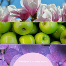 Kvapų Difuzorius - Millefiori Magnolia Blossom & Wood Reed Diffuser 250 ml Kvapų Difuzorius - Millefiori Magnolia Blossom & Wood Reed Diffuser 250 ml